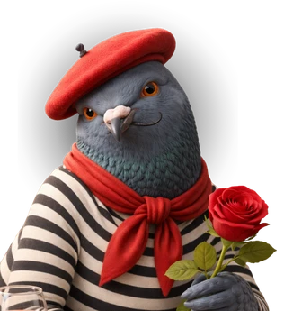 French pigeon